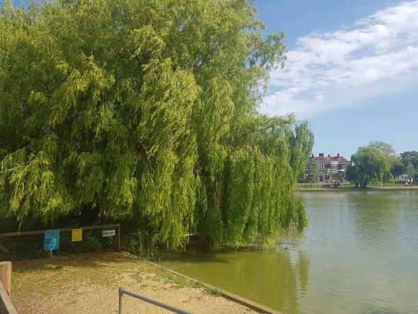 Picture of Baffins Pond